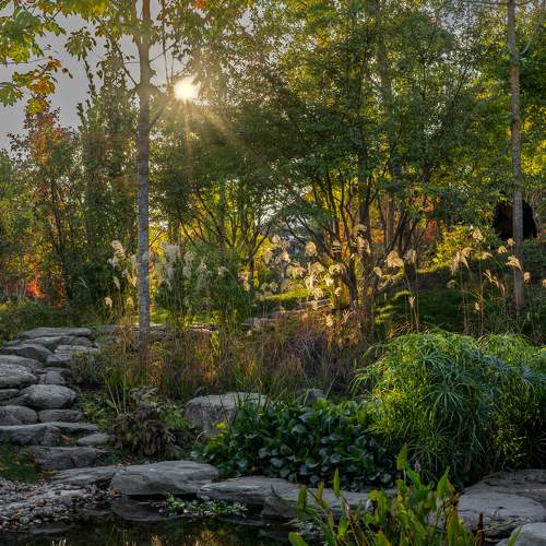 Photo #11176867