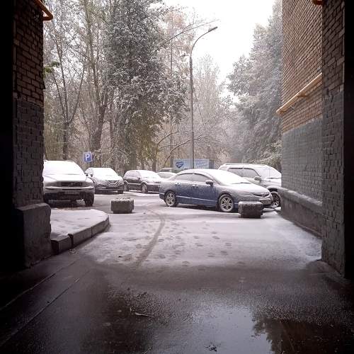 Photo #11177154