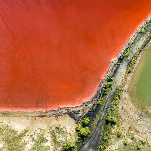 Photo #11177277