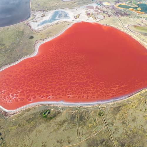 Photo #11177291
