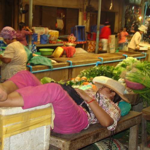 Photo #11177734