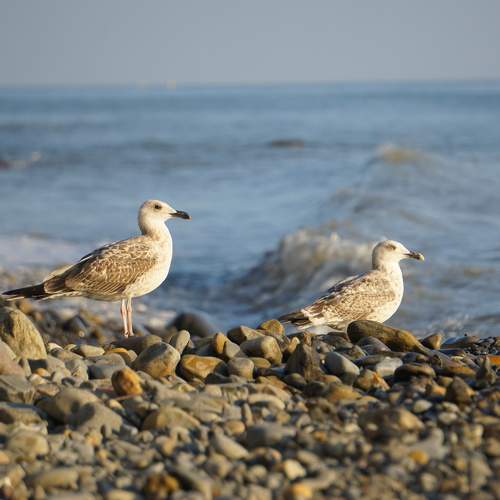 Photo #11177842