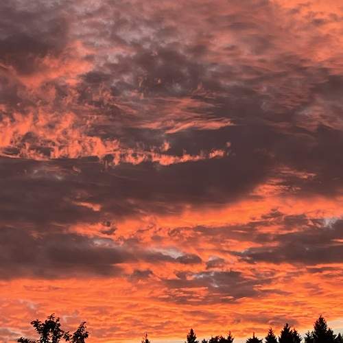 Photo #11177937