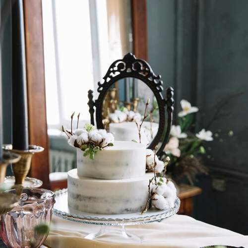 Photo #11177939