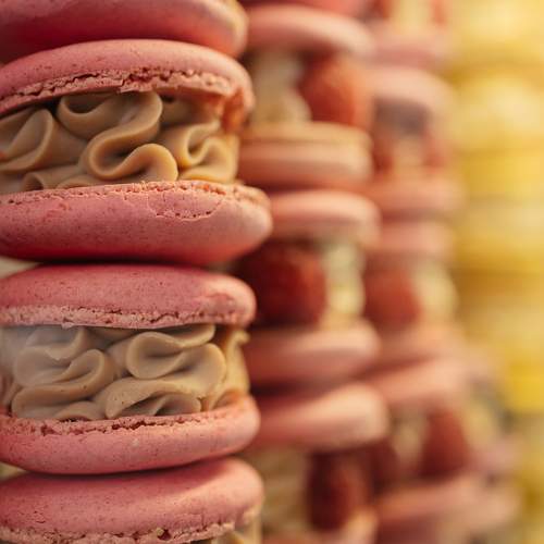 Photo #11178032