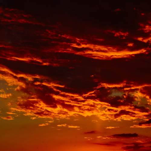 Photo #11178473