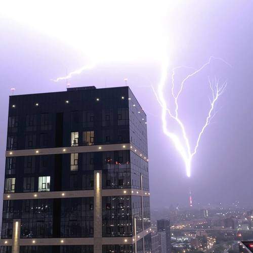 Photo #11178521