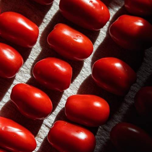 Фотография #11178542