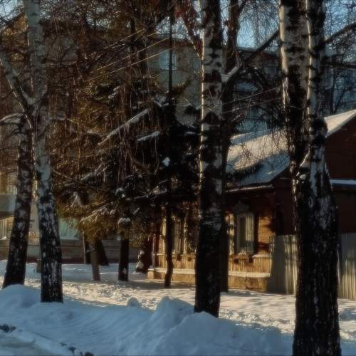 Photo #11178613