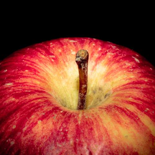 Photo #11178733