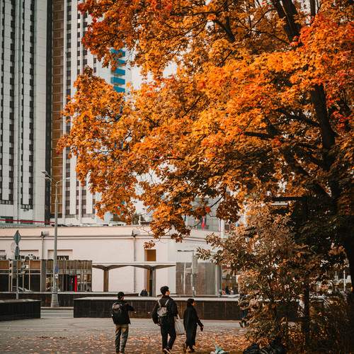 Photo #11178824