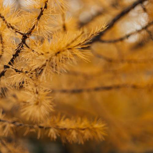 Photo #11179092