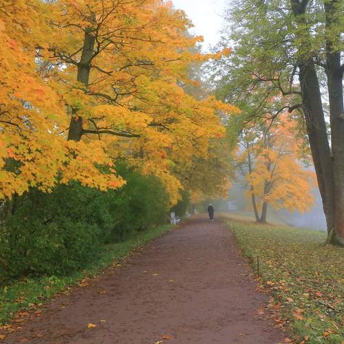 Photo #11179134