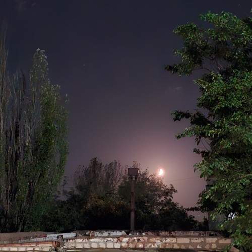 Photo #11179372