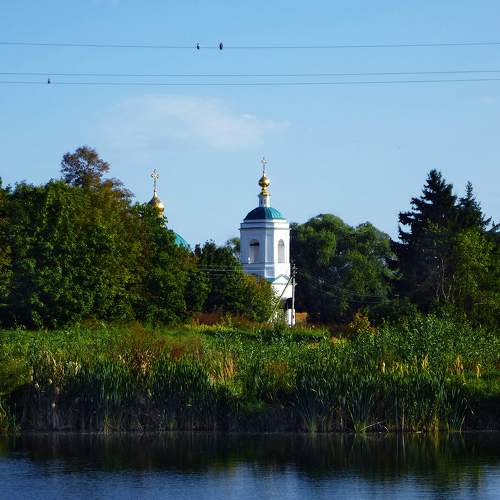 Photo #11179744