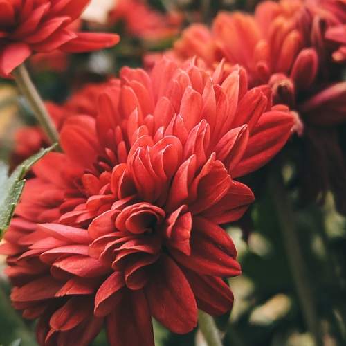 Photo #11180167