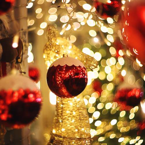 Photo #11180394