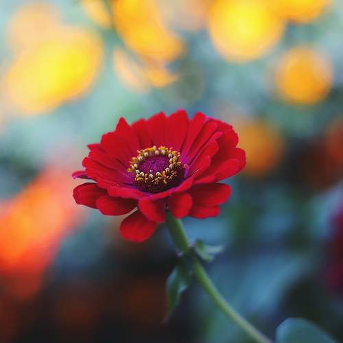 Photo #11180395