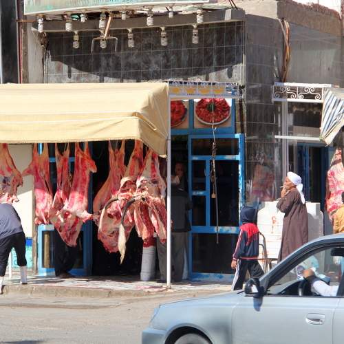 Photo #11181014