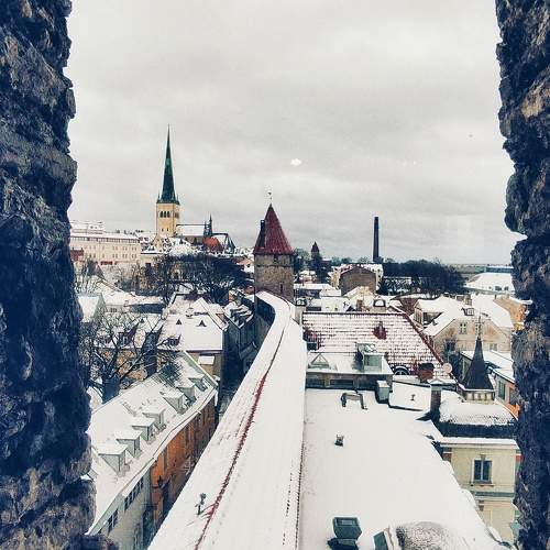 Photo #11181408