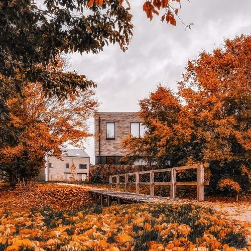 Photo #11182086