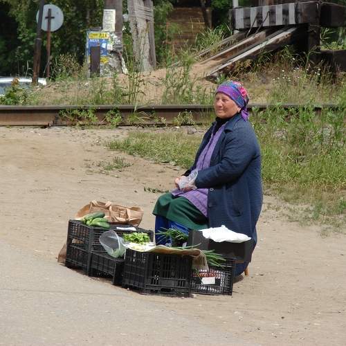 Photo #11182121