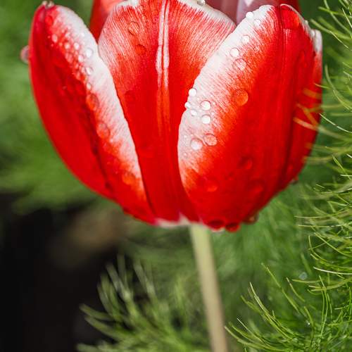 Photo #11182142