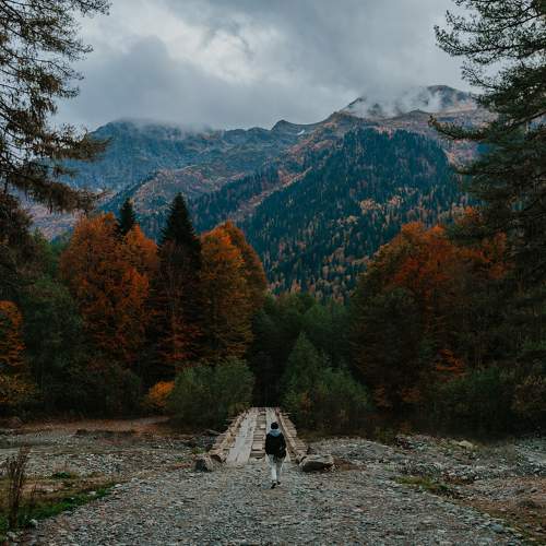 Photo #11182191
