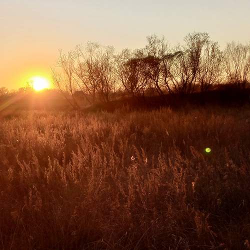 Photo #11182755