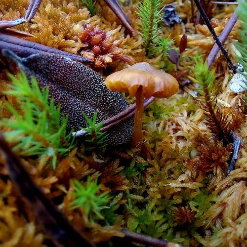 Photo #11183027