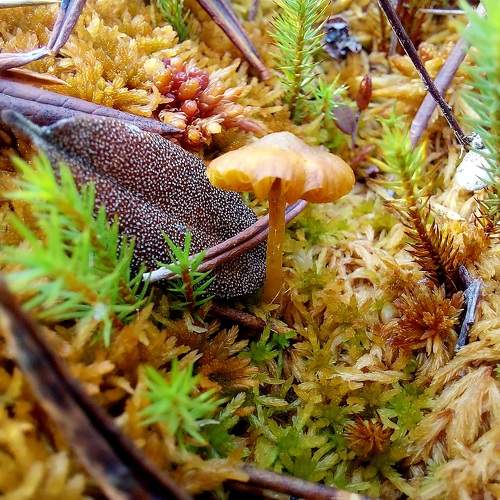 Photo #11183033