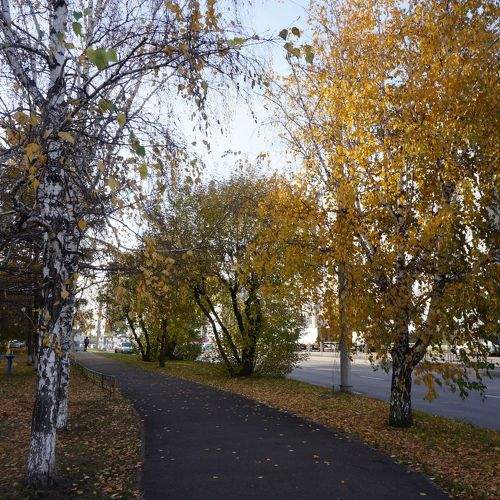 Photo #11183165
