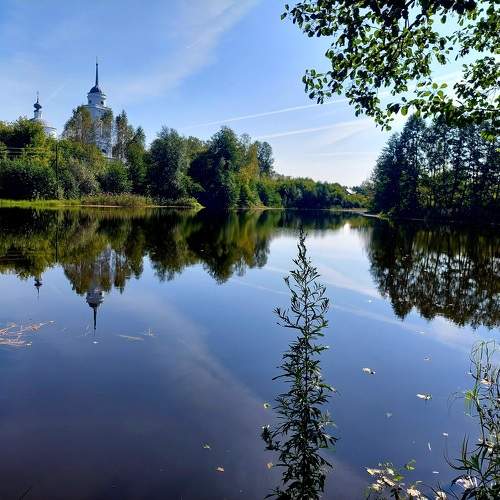 Photo #11183254