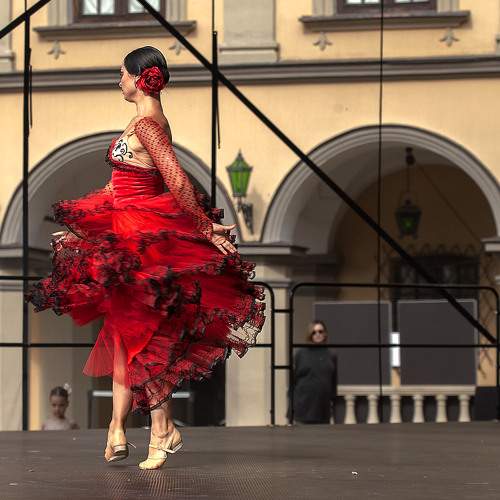 Photo #11183305