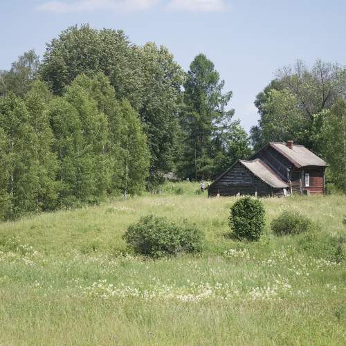 Photo #11183484