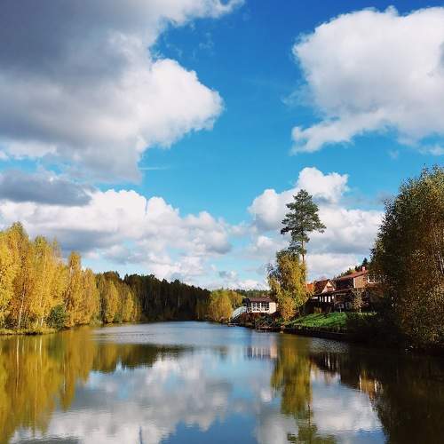 Photo #11183574