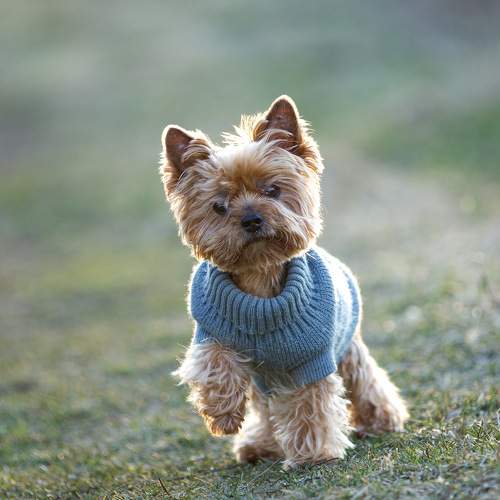 Photo #11183602