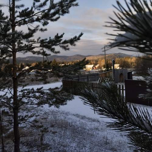 Photo #11183654