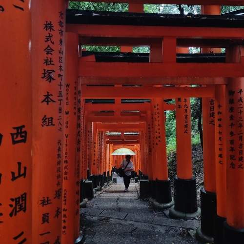 Photo #11183686