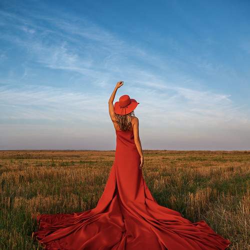 Photo #11184341