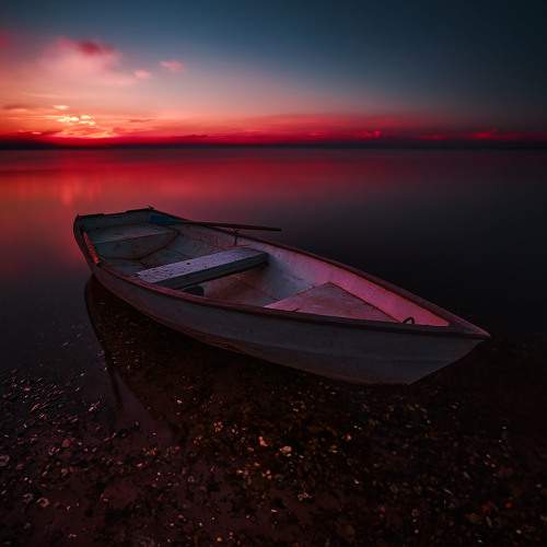 Photo #11184343