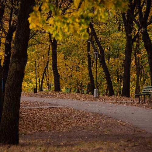 Photo #11184644