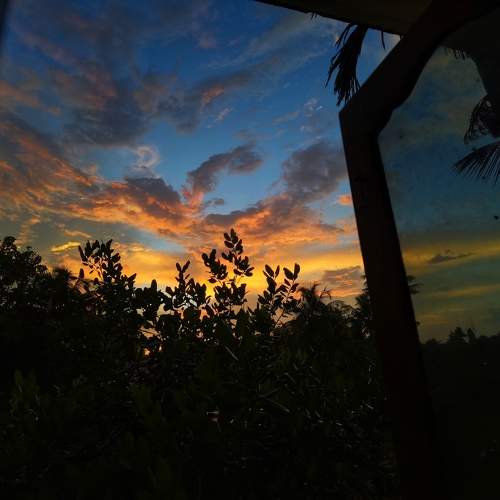 Photo #11184743