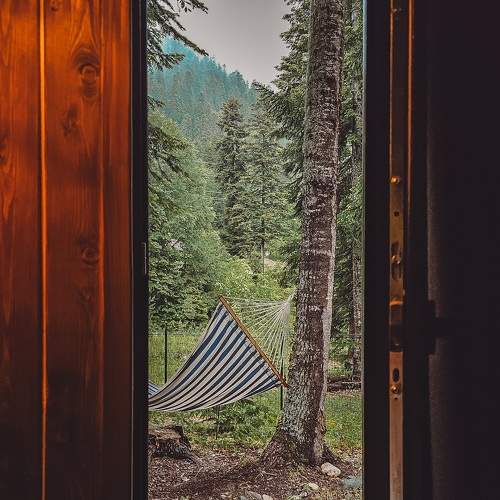 Photo #11184853