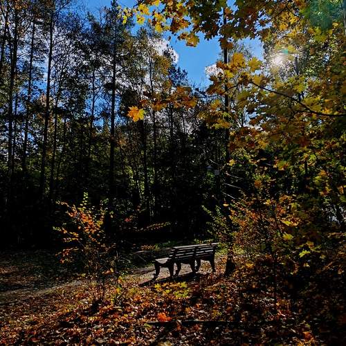 Photo #11184912