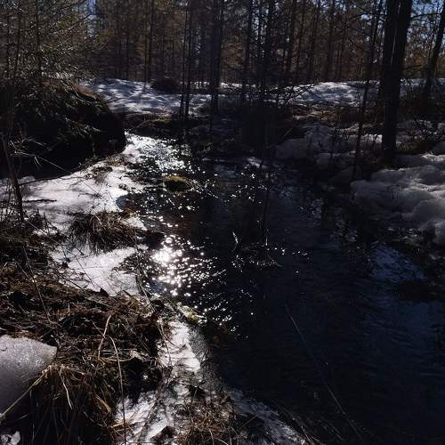 Photo #11184997