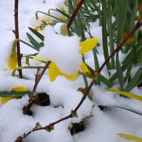 Photo #11185230