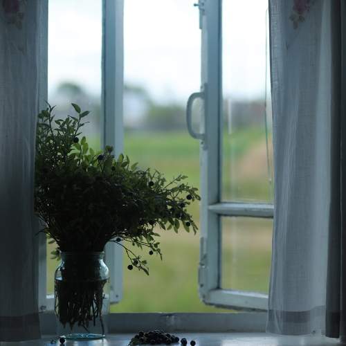Photo #11185303