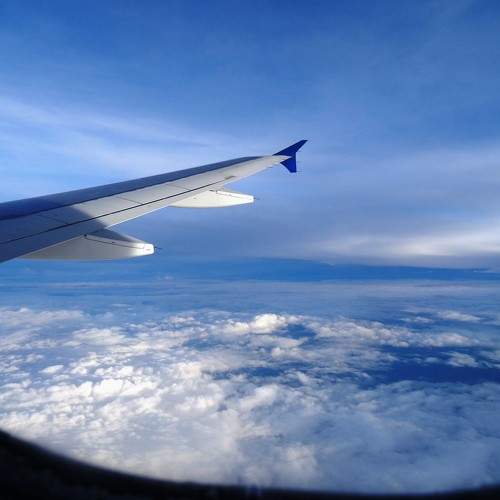 Photo #11185772