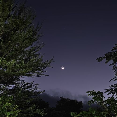 Photo #11185775